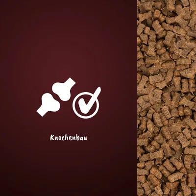 Symbol für Knochenbau mit Häkchen und braune Kroketten. Hinweis auf Produktvorteil für gesunden Knochenbau.