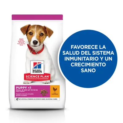 Hill's Science Plan Puppy <1 Small & Mini up to 10 kg con pollo. Favorece la salud del sistema inmunitario y un crecimiento sano. Recomendado por veterinarios.