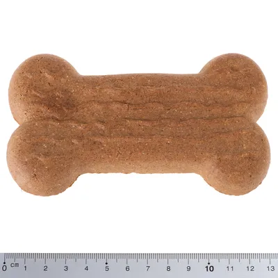 Brown, bone-shaped dog biscuit approximately 10 cm long, shown next to a ruler for size reference.