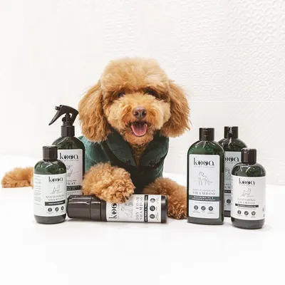 kooa Pflegeprodukte für Haustiere, darunter Shampoos, Sprays und Schaum in grünen Flaschen mit weissem Etikett.