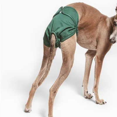 kooa Scutec lavabil pentru cățele