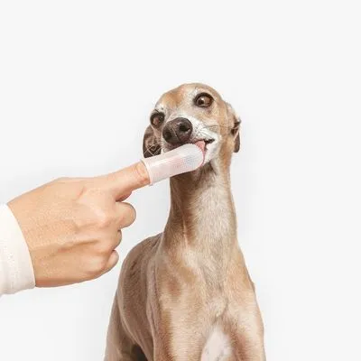 kooa силиконов напръстник за почистване на зъбите