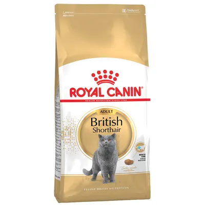 Royal Canin Adult British Shorthair cat food, tailored for muscle tone and customised nutrition. Packaging shows a grey cat.