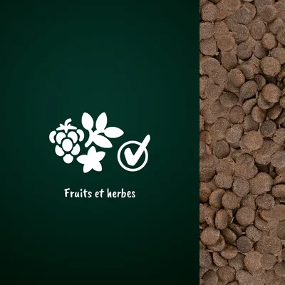 Croquettes marron à droite, pictogrammes de fruits, herbes et coche avec texte « Fruits et herbes » au centre sur fond vert foncé.