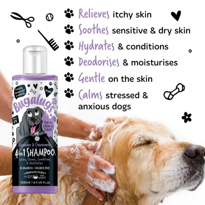 Dog shampoo bottle with benefits listed: relieves itchy skin, soothes sensitive and dry skin, hydrates, conditions, deodorises, moisturises, gentle on skin, calms stressed and anxious dogs.