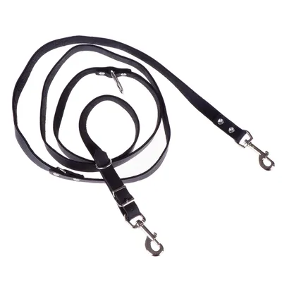 Schwarze Hundeleine aus Leder mit zwei Metallkarabinern und verstellbaren Schnallen.