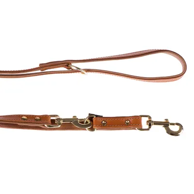 Brown leather dog lead with metal snap hook and studs, includes hand strap.