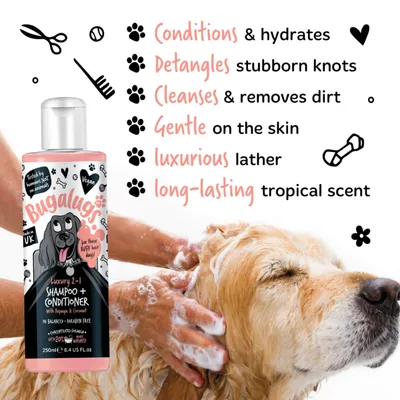 Luxury 2-in-1 shampoo and conditioner being applied, conditions, detangles, cleanses, gentle on skin, creates luxurious lather, long-lasting tropical scent. Vegan and paraben free.