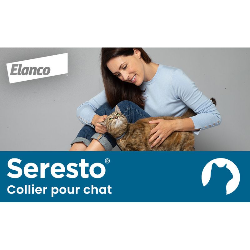 Seresto® Collier chat