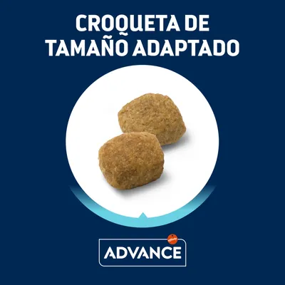 Croqueta de tamaño adaptado. Imagen de dos croquetas Advance Affinity sobre fondo blanco.