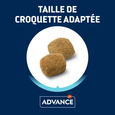 Deux croquettes Advance, texte : Taille de croquette adaptée. Marque Advance visible en bas de l’image.