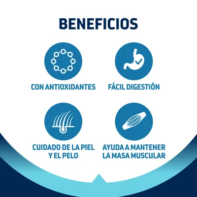 Beneficios: con antioxidantes, fácil digestión, cuidado de la piel y el pelo, ayuda a mantener la masa muscular.