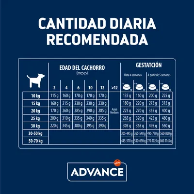 Tabla de cantidad diaria recomendada Advance: gramos por peso y edad del cachorro (2–12 meses) y para gestación, desde 10 kg hasta 70 kg. Incluye logotipo Advance.