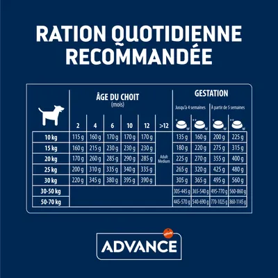 Tableau des rations quotidiennes recommandées Advance pour chiots et chiennes gestantes, par poids (10–70 kg) et âge ou stade de gestation, valeurs en grammes par jour.
