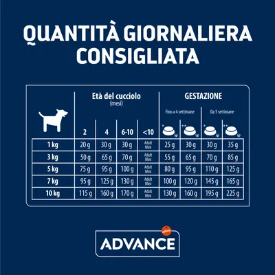 Tabella Advance: quantità giornaliera consigliata per cuccioli e gestazione, suddivisa per peso (1–10 kg) ed età o settimane di gestazione. Logo Advance visibile in basso.