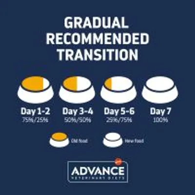Gradual recommended transition chart: Day 1–2, 75%/25%; Day 3–4, 50%/50%; Day 5–6, 25%/75%; Day 7, 100%. ADVANCE Veterinary Diets logo shown.