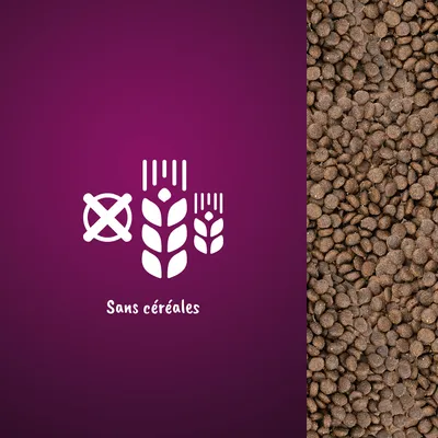 Croquettes avec pictogramme épi barré et texte « Sans céréales » sur fond violet, indiquant l'absence de céréales dans le produit.