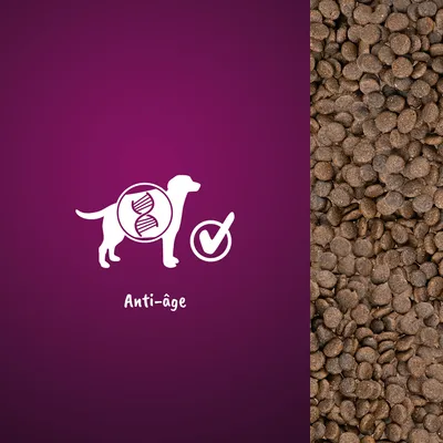 Croquettes pour chien, texte visible : Anti-âge, icône ADN et coche. Indique une caractéristique anti-âge du produit.
