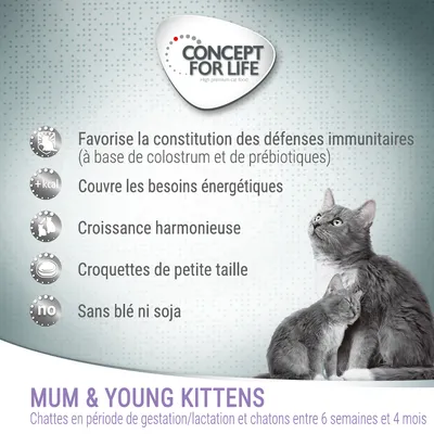 Concept for Life Mum & Young Kittens. Favorise les défenses immunitaires, couvre les besoins énergétiques, croissance harmonieuse, croquettes petites, sans blé ni soja. Pour chattes gestantes/lactantes et chatons 6 sem.–4 mois.