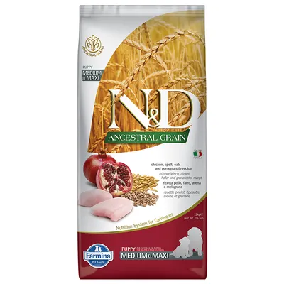 Farmina N&D Ancestral Grain Puppy Medium & Maxi, ricetta pollo, farro, avena e melagrana. Immagini di chicchi, carne e melagrana. Marchio Farmina visibile sulla confezione.