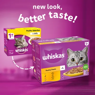 Whiskas Poultry Feasts in Jelly, 12 meals, new look packaging. Visible text: 'new look, better taste!', '1+ years', 'Poultry Selection in Jelly', 'chicken, duck, poultry, turkey'.