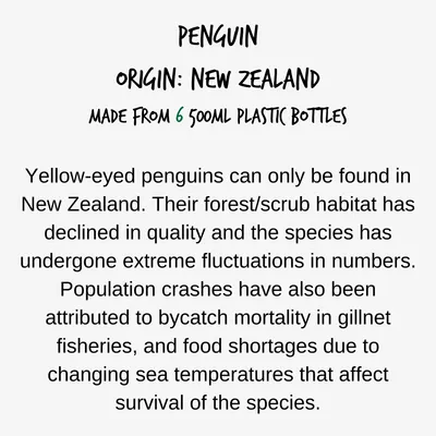 Penguin from New Zealand, made from six 500ml plastic bottles. Yellow-eyed penguins are native to New Zealand and face population declines due to habitat loss, bycatch, and food shortages.
