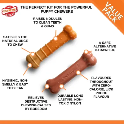 Chew toy kit for strong chewers. Features: raised nodules clean teeth, satisfies urge to chew, hygienic, relieves boredom chewing, durable non-toxic nylon, safe alternative to rawhide, flavoured.