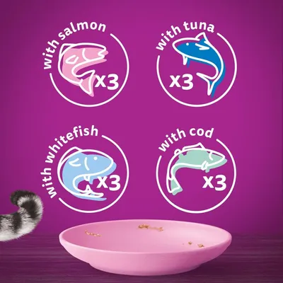 with salmon x3, with tuna x3, with whitefish x3, with cod x3 shown in circles above a pink dish and part of a cat’s tail on purple background