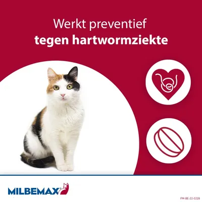 Milbemax Kleine Kat (NL)