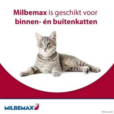 Milbemax Kleine Kat (NL)