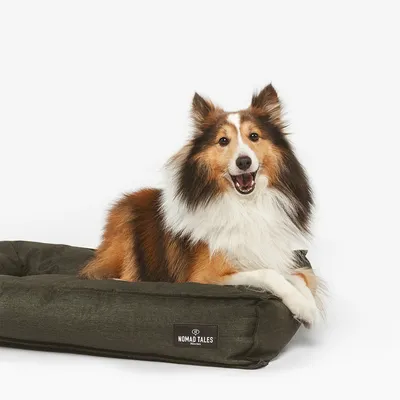 Hundebett in dunkelgrünem Stoff mit sichtbarem Logo 'Nomad Tales'.