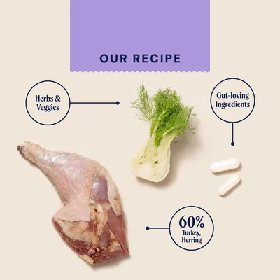 Pooch and Mutt Health & Digestion Wet Dog Food Pooch and Mutt Health & Digestion Wet Dog Food