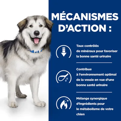 MÉCANISMES D’ACTION : taux contrôlés de minéraux pour la santé urinaire, contribue à l’environnement optimal de la vessie, mélange synergique d’ingrédients pour le métabolisme du chien