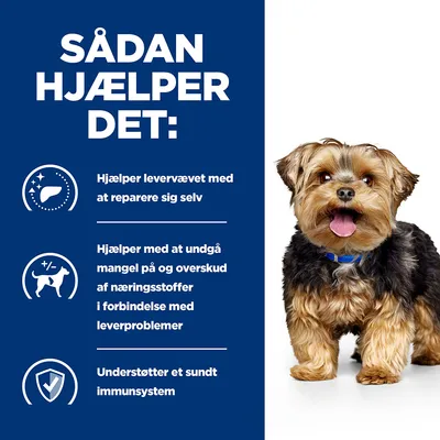 SÅDAN HJÆLPER DET: Hjælper levervævet med at reparere sig selv. Hjælper med at undgå mangel på og overskud af næringsstoffer i forbindelse med leverproblemer. Understøtter et sundt immunsystem.