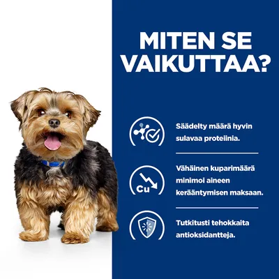 Teksti: MITEN SE VAIKUTTAA? Säädelty määrä hyvin sulavaa proteiinia. Vähäinen kuparimäärä minimoi aineen kerääntymisen maksaan. Tutkitusti tehokkaita antioksidantteja.