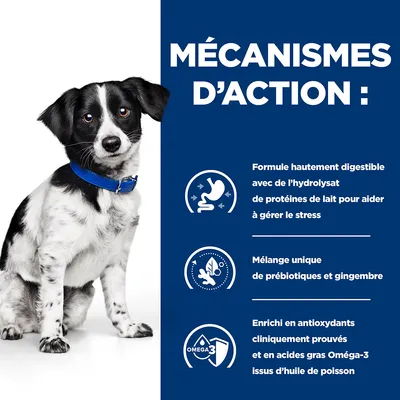 MÉCANISMES D’ACTION : Formule hautement digestible avec hydrolysat de protéines de lait, mélange unique de prébiotiques et gingembre, enrichi en antioxydants et Oméga-3 d’huile de poisson.