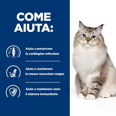 COME AIUTA: Aiuta a preservare la cartilagine articolare. Aiuta a mantenere la massa muscolare magra. Aiuta a mantenere sano il sistema immunitario.