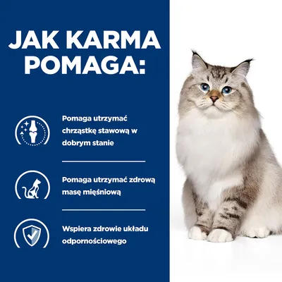 Jak karma pomaga: pomaga utrzymać chrząstkę stawową w dobrym stanie, zdrową masę mięśniową i wspiera zdrowie układu odpornościowego. Obok siedzi kot.