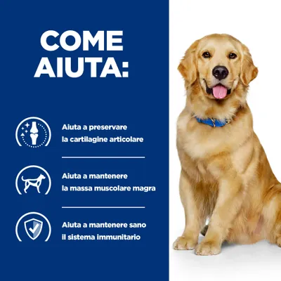 COME AIUTA: Aiuta a preservare la cartilagine articolare, a mantenere la massa muscolare magra e a mantenere sano il sistema immunitario.