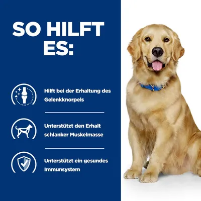 So hilft es: Erhaltung des Gelenkknorpels, Unterstützung schlanker Muskelmasse, Förderung eines gesunden Immunsystems.