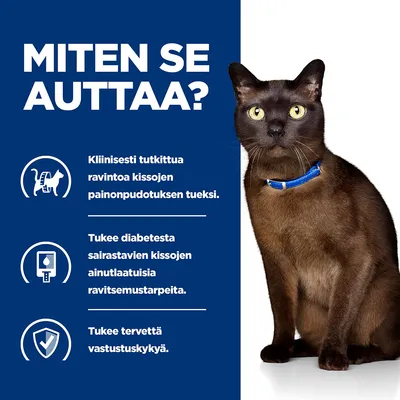 MITEN SE AUTTAA? Kliinisesti tutkittua ravintoa kissojen painonpudotuksen tueksi. Tukee diabetesta sairastavien kissojen ainutlaatuisia ravitsemustarpeita. Tukee tervettä vastustuskykyä.