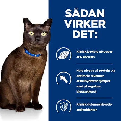 SÅDAN VIRKER DET: Klinisk beviste niveauer af L-carnitin. Høje niveau af protein og optimale niveauer af kulhydrater hjælper med at regulere blodsukkeret. Klinisk dokumenterede antioxidanter.