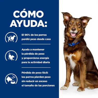Texto: Cómo ayuda. El 96% de los perros perdió peso desde casa. Ayuda a mantener la pérdida de peso y proporciona energía para la actividad diaria. Pérdida de peso fácil.