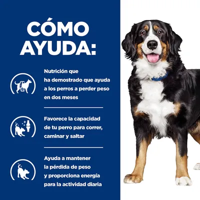 Texto: Cómo ayuda. Nutrición que ha demostrado que ayuda a los perros a perder peso en dos meses. Favorece la capacidad de tu perro para correr, caminar y saltar. Ayuda a mantener la pérdida de peso y proporciona energía para la actividad diaria.