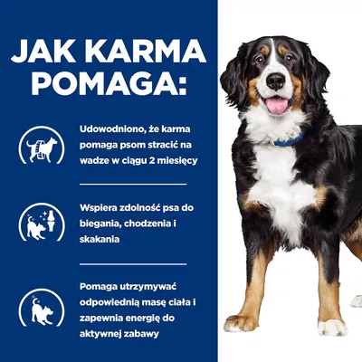 Jak karma pomaga: udowodniono, że karma pomaga psom stracić na wadze w ciągu 2 miesięcy, wspiera zdolność psa do biegania, chodzenia i skakania, pomaga utrzymywać odpowiednią masę ciała.