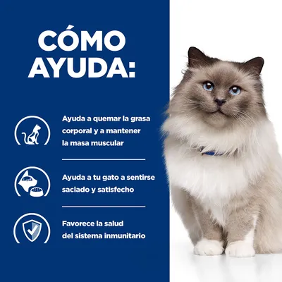 Texto: Cómo ayuda. Ayuda a quemar la grasa corporal y a mantener la masa muscular. Ayuda a tu gato a sentirse saciado y satisfecho. Favorece la salud del sistema inmunitario.