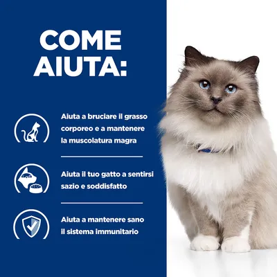 COME AIUTA: Aiuta a bruciare il grasso corporeo e a mantenere la muscolatura magra. Aiuta il tuo gatto a sentirsi sazio e soddisfatto. Aiuta a mantenere sano il sistema immunitario.