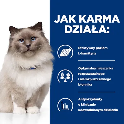 Jak karma działa: Efektywny poziom L-karnityny, optymalna mieszanka rozpuszczalnego i nierozpuszczalnego błonnika, antyoksydanty o klinicznie udowodnionym działaniu.