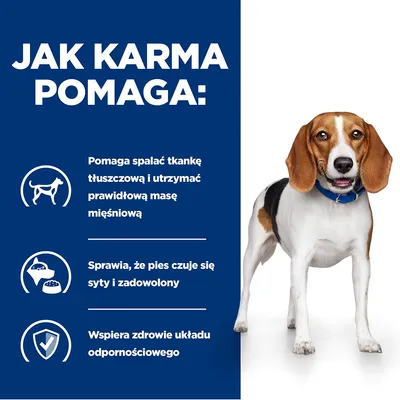 Jak karma pomaga: spalać tkankę tłuszczową i utrzymać masę mięśniową, sprawia, że pies czuje się syty i zadowolony, wspiera zdrowie układu odpornościowego.