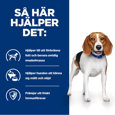Så här hjälper det: Hjälper till att förbränna fett och bevara smidig muskelmassa, hjälper hunden att känna sig mätt och nöjd, främjar ett friskt immunförsvar.